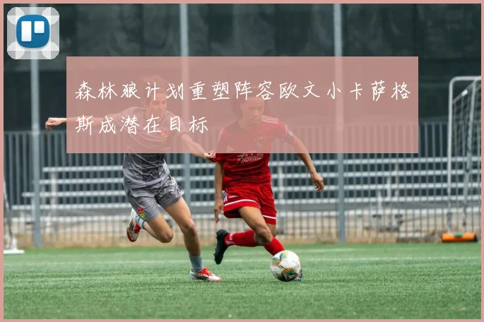 森林狼计划重塑阵容欧文小卡萨格斯成潜在目标
