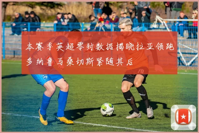 本赛季英超零封数据揭晓拉亚领跑多纳鲁马桑切斯紧随其后